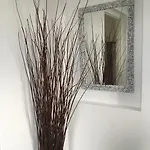 Nazos 1 호텔