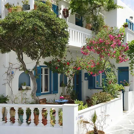 Hotel Nazos 1 2*